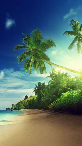 Beach Sunset Live Wallpaper screenshot 4