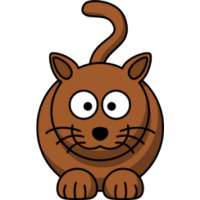 Funny Pet Videos