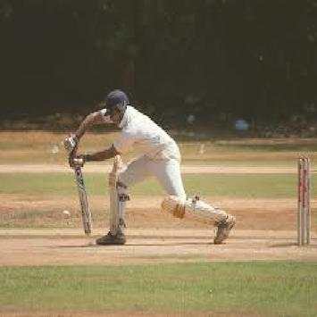 Play Cricket screenshot 3