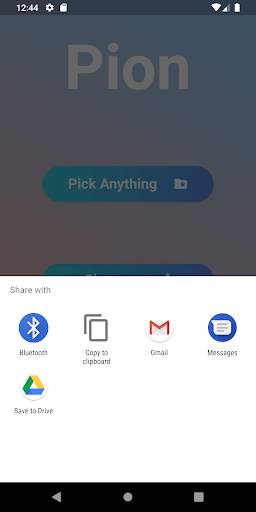 Pion Web Share photo, video, audio, pdf screenshot 7