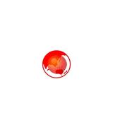 3J Web browser icon