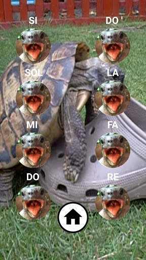 Aaah! Funny Turtle Sounds and Piano screenshot 3