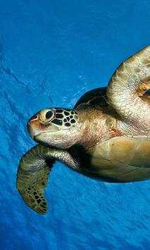 Sea Animals Puzzles Games screenshot 2