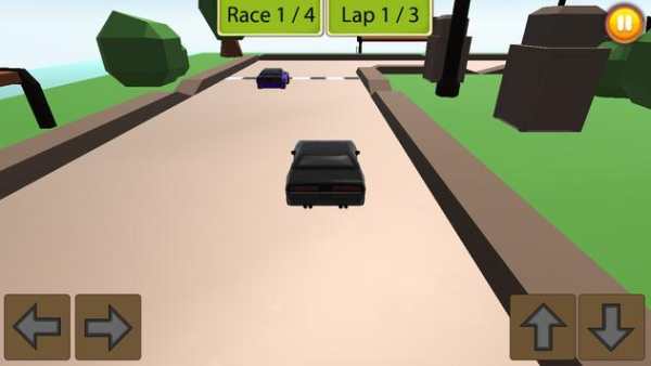 RC Racing Car 3D screenshot 4
