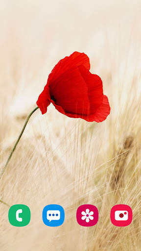 Nature Wallpaper screenshot 5