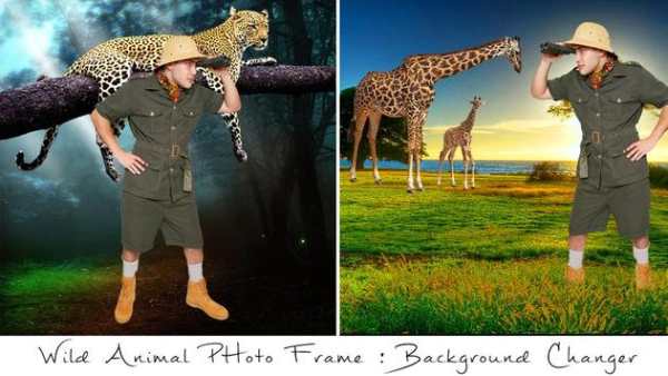 Wild Animal Photo Frames screenshot 6
