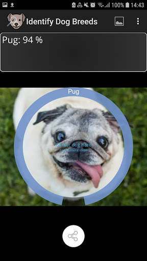 Erkenne Hunderassen screenshot 3