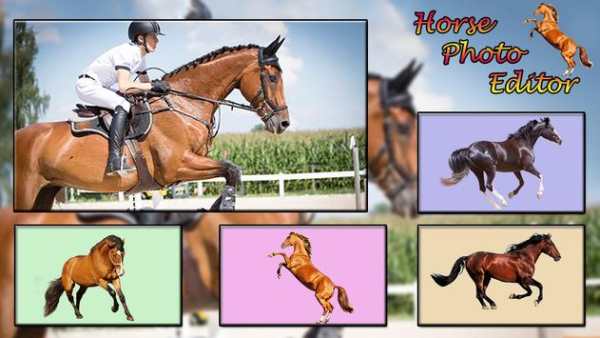 Horse Photo Editor screenshot 1