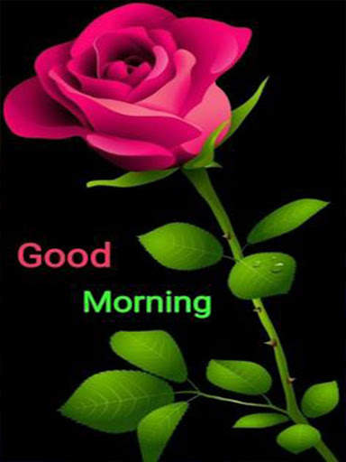 Good Morning Flowers Images GIF screenshot 1