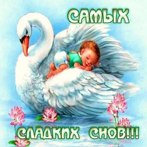 Добрый вечер Спокойной ночи Cладких снов 4 تصوير الشاشة