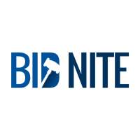 Bidnite icon