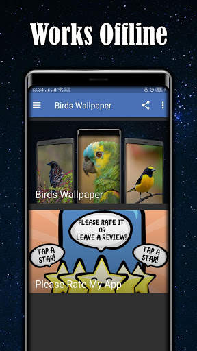 Birds Wallpaper स्क्रीनशॉट 3