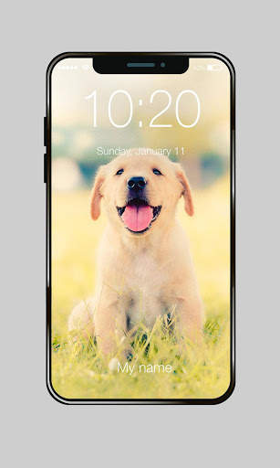 Labrador Dog Domestic Pet Lock Screen Password screenshot 1