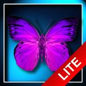 Butterflies LWP 1.6.1