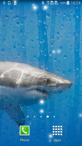 Shark Live Wallpaper screenshot 3