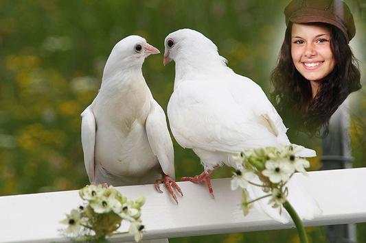 Cool Amazing Dove Photo Frames screenshot 5