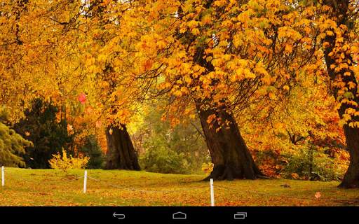 Autumn Wallpaper screenshot 10