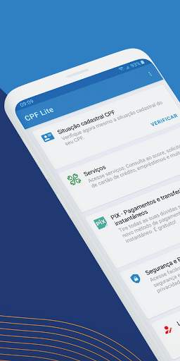 Consulta CPF: Score e Dívidas screenshot 1