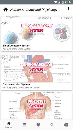 Human Anatomy and Physiology screenshot 1