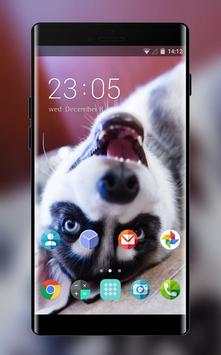 Theme for Nokia X2 Dual SIM Husky Wallpaper screenshot 1