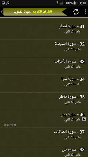 عامر الكاظمي القران الكريم كامل بجودة عالية screenshot 4