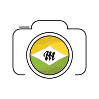 Mode Share