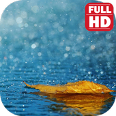 Free Rain Sleep Sounds Download. icon