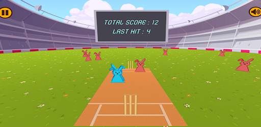 Bat Ball Cricket screenshot 6