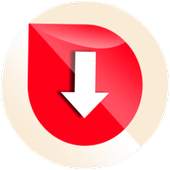 Daily Video Downloader 1.1