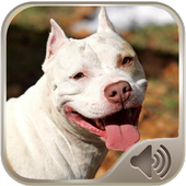Barking Dog Sounds icon