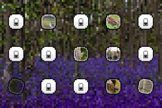 Bird-song Sounds and Ringtones screenshot 1