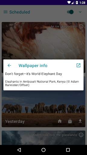 Daily Wallpapers Pro - Auto Change Wallpapers screenshot 4