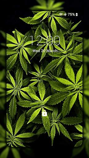 Weed Live Wallpaper - backgrounds hd screenshot 3