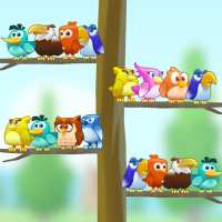 Bird Color Sort Master