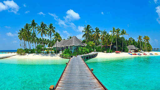 Tropical Wallpaper screenshot 1