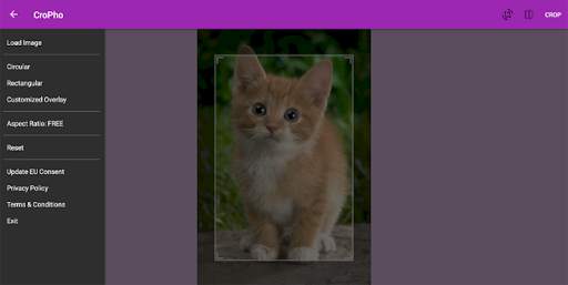 Free Photo Editor screenshot 6
