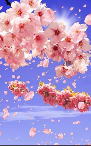 Sakura Live Wallpaper HD screenshot 15