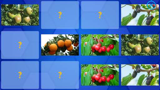 Fruits and Vegetables for Kids - Flashcards Puzzle скриншот 10