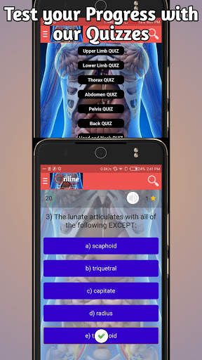 ONLINE Anatomy - Videos, Quizzes and Chats. screenshot 3
