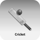 Cricket News and Headlines 4.3