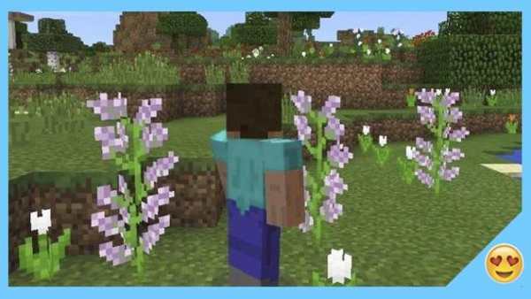 Morph mod screenshot 3