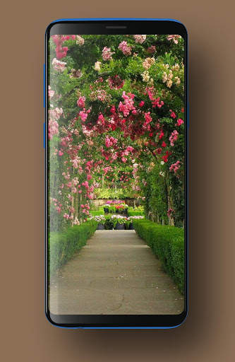 Garden Wallpapers HD screenshot 5
