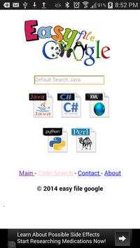 efile google screenshot 3