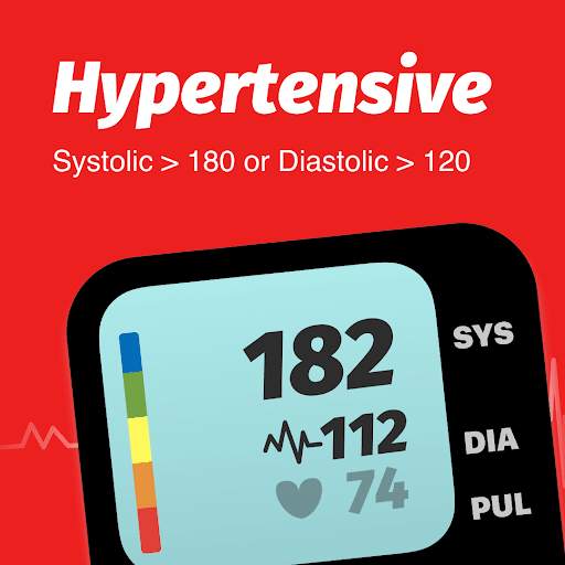 Blood Pressure App screenshot 5