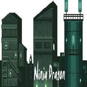 Ninja Dragon 1.0