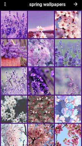 lavender wallpaper screenshot 7
