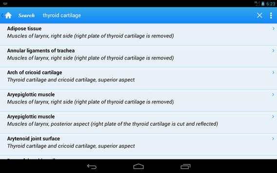 Human Anatomy II Lite screenshot 6