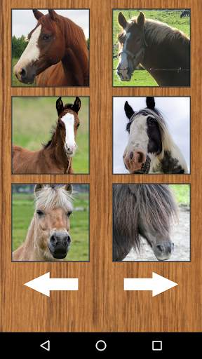 Funny Horse Farm Sounds screenshot 2