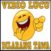 Kumpulan Vidio Lucu Terngakak on 9Apps