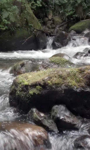 Water and stone live wallpaper screenshot 2